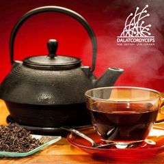 Thảo mộc nhân trần sấy khô Dalat Cordyceps