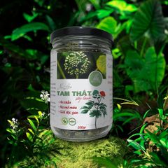 Trà thảo mộc nụ hoa tam thất bao tử loại nụ sấy lạnh, Dalat Cordyceps