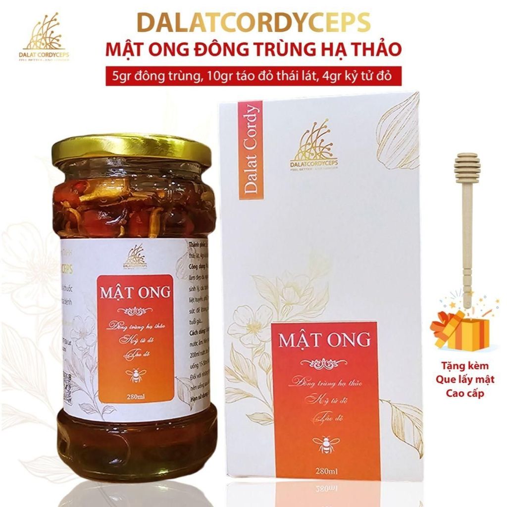 Mật ong ngâm đông trùnġ hạ thảo, kỷ tử đỏ, táo đỏ - Hộp cao cấp