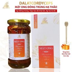 Mật ong ngâm đông trùnġ hạ thảo, kỷ tử đỏ, táo đỏ - Hộp cao cấp