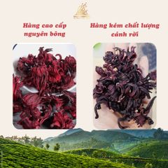 Trà hoa atiso đỏ sấy khô sấy lạnh Dalat Cordyceps - Loai cao cấp