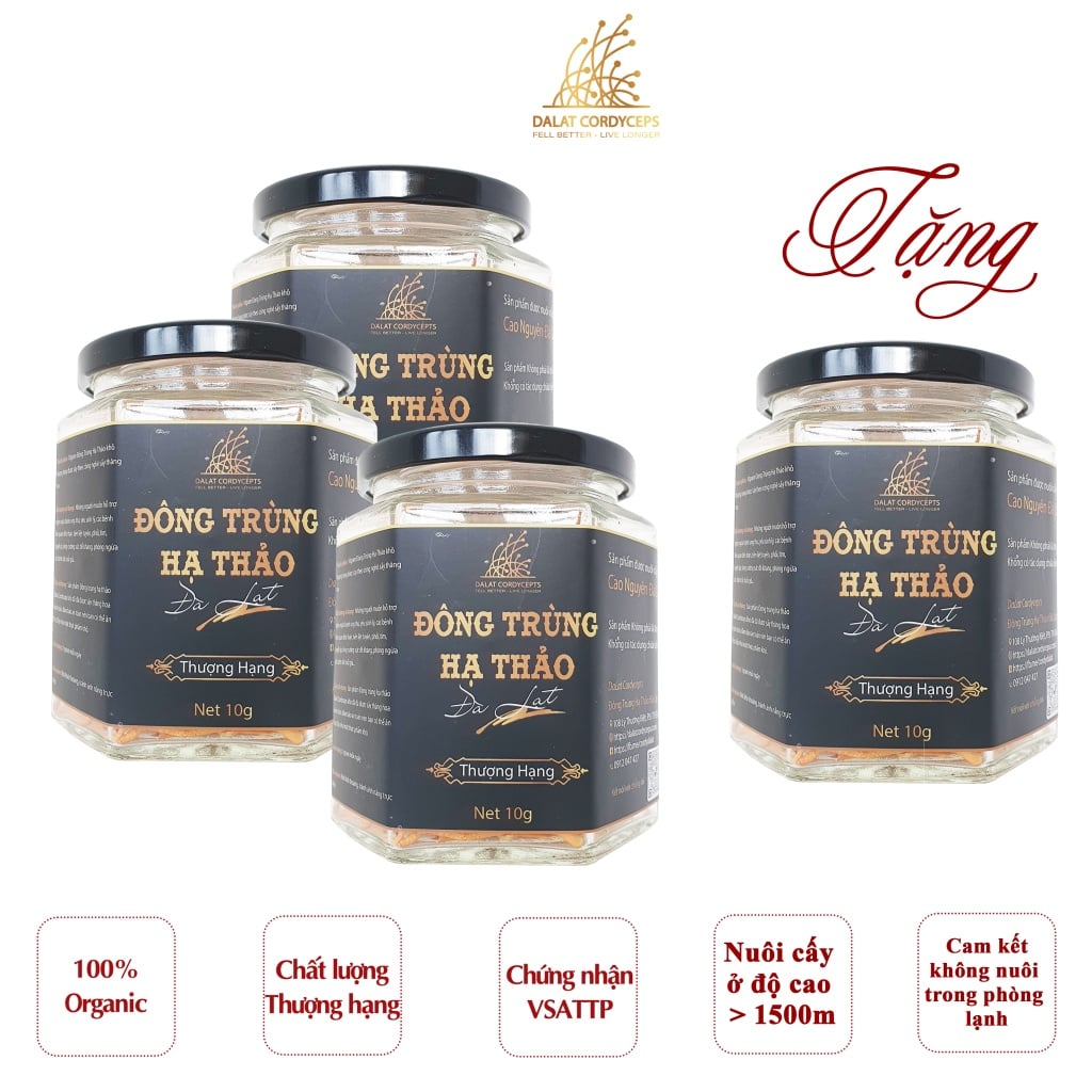 Combo 4 hộp Nấm Đông trùng hạ thảo khô sấy thăng hoa Loại 10gr