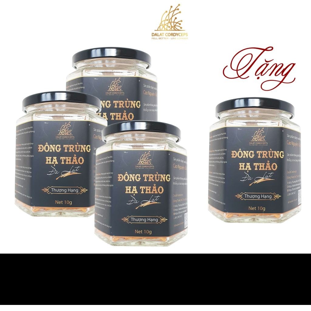 Nấm đông trùng hạ thảo khô đã được sấy thăng hoa giữ nguyên dưỡng chất, Dalat Cordyceps, 10gr, 4 hộp