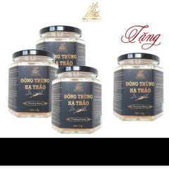 Nấm đông trùng hạ thảo khô đã được sấy thăng hoa giữ nguyên dưỡng chất, Dalat Cordyceps, 10gr, 4 hộp