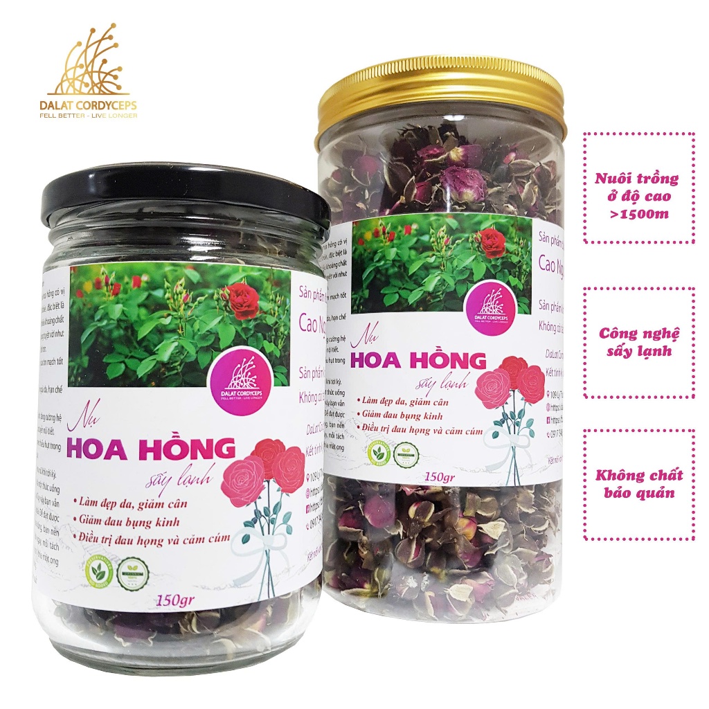 Trà thảo mộc nụ hoa hồng sấy lạnh - Dalat Cordyceps - loại thượng hạng