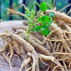 Viên sâm dây ngọc linh, đẳng sâm mật ong Dalat Cordyceps