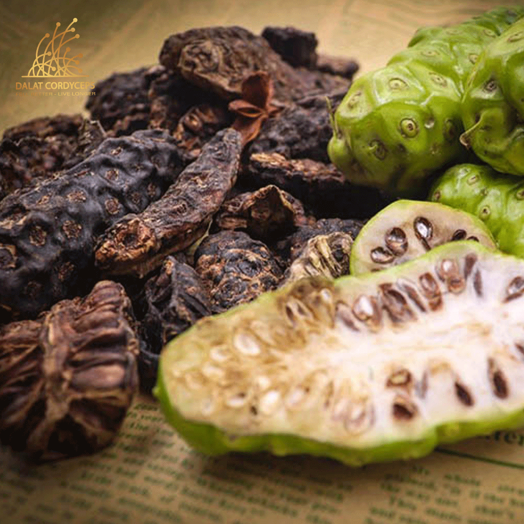 Thảo mộc trái nhàu sấy khô túi zip tiện dụng Dalat Cordyceps