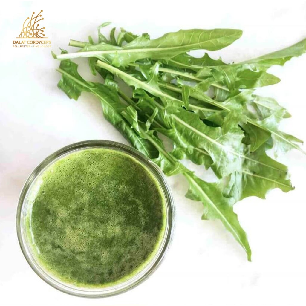Bột lá bồ công anh sấy lạnh - Dalat Cordyceps