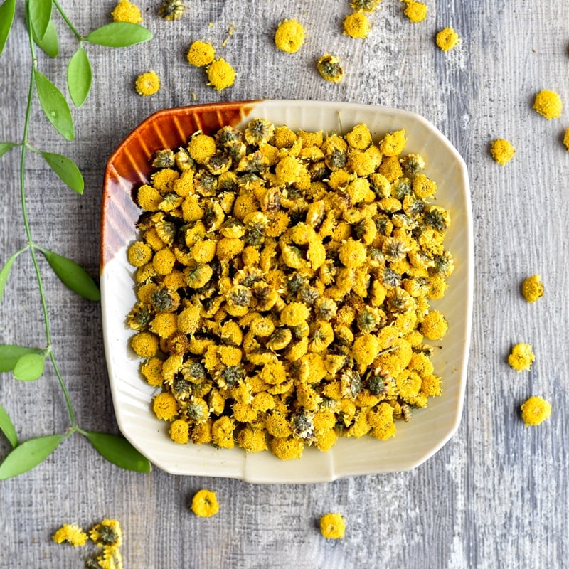 Trà thảo mộc nụ hoa cúc chi sấy lạnh - Dalat Cordyceps