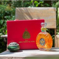 Đông trùnġ hạ thảo tươi ngâm  XO - Dalat Cordyceps - Hộp cao cấp