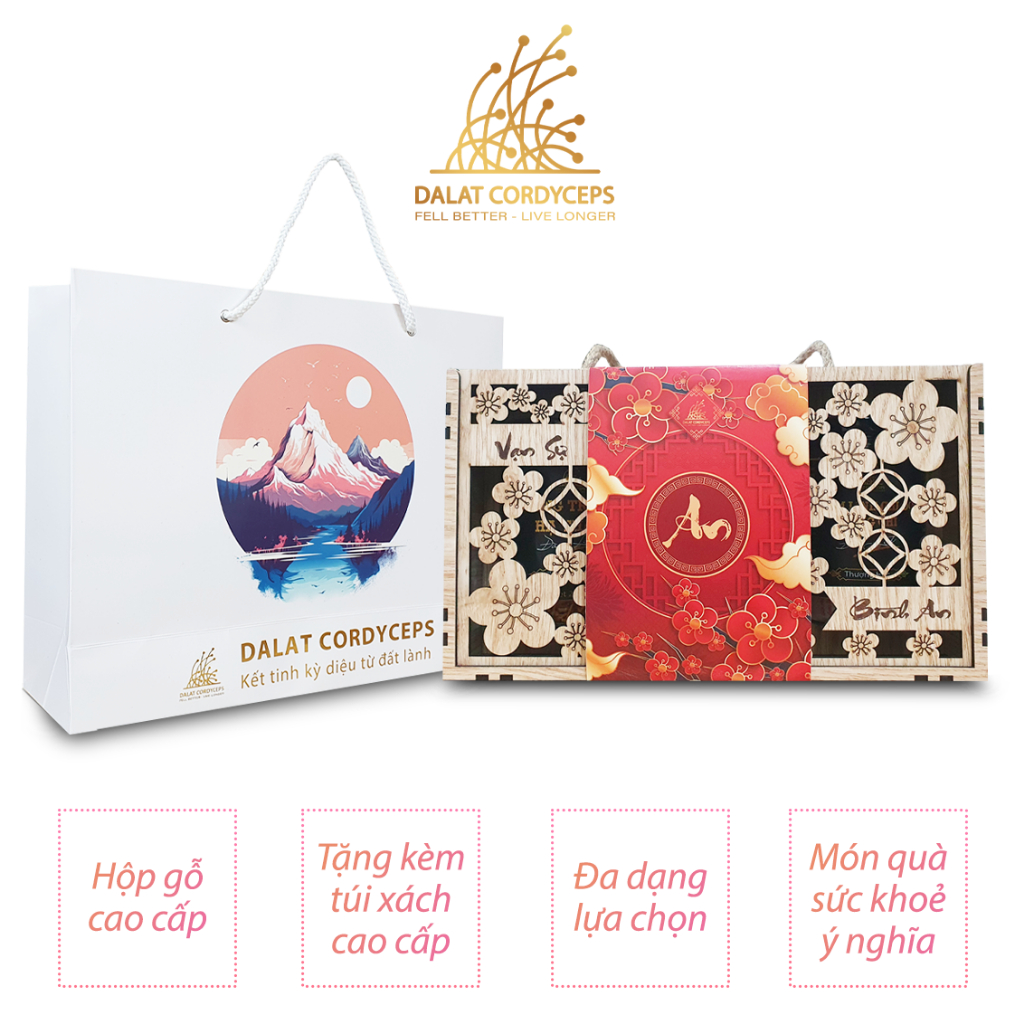 Set quà tết năm 2026 sức khoẻ Vạn An - Dalat Cordyceps - Đông trùng hạ thảo, saffron, linh chi, thảo mộc thiên nhiên