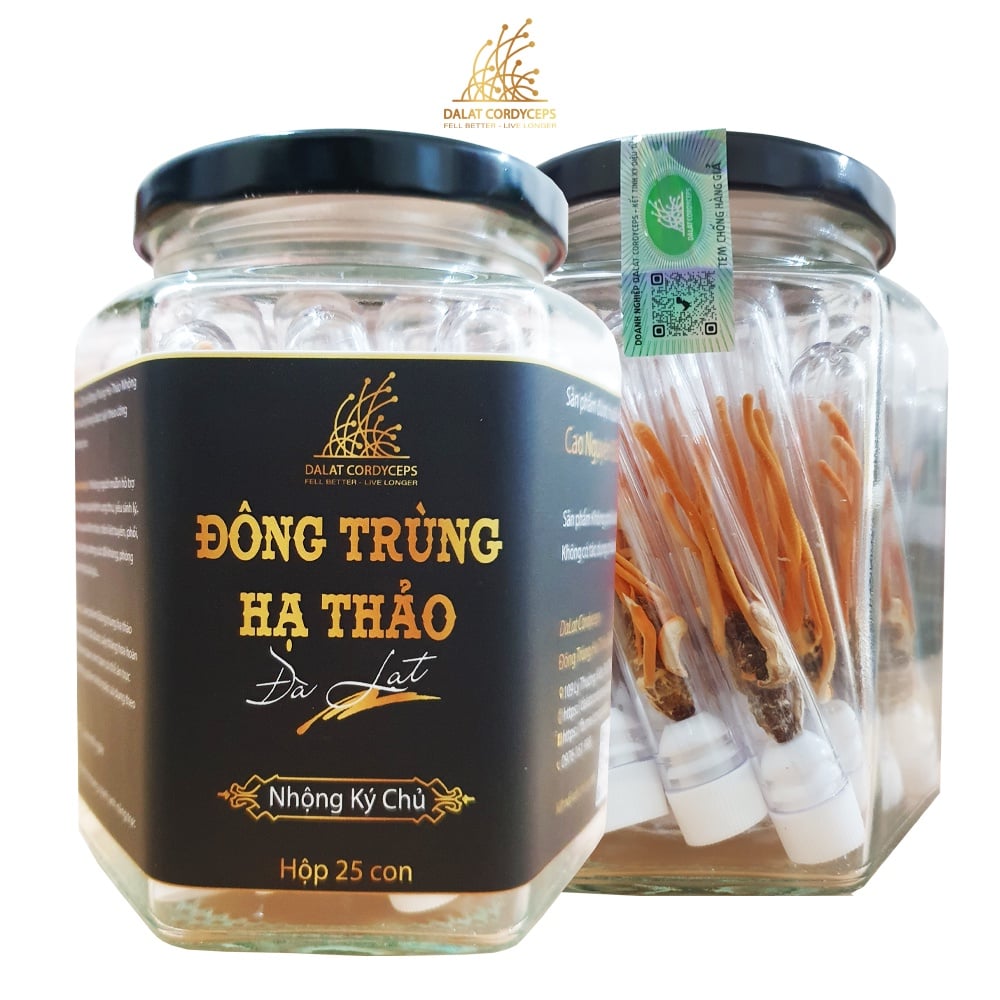 Đông trùng hạ thảo ký chủ nhộng tầm,,Dalat Cordyceps, lọ  25 - 50 con