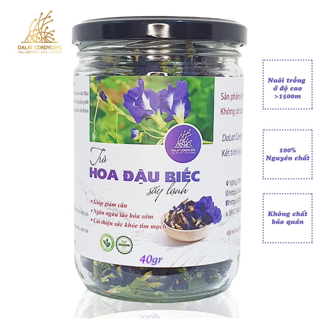 Trà bông hoa đậu biếc khô sấy lạnh - Dalat Cordyceps - loại thượng hạng