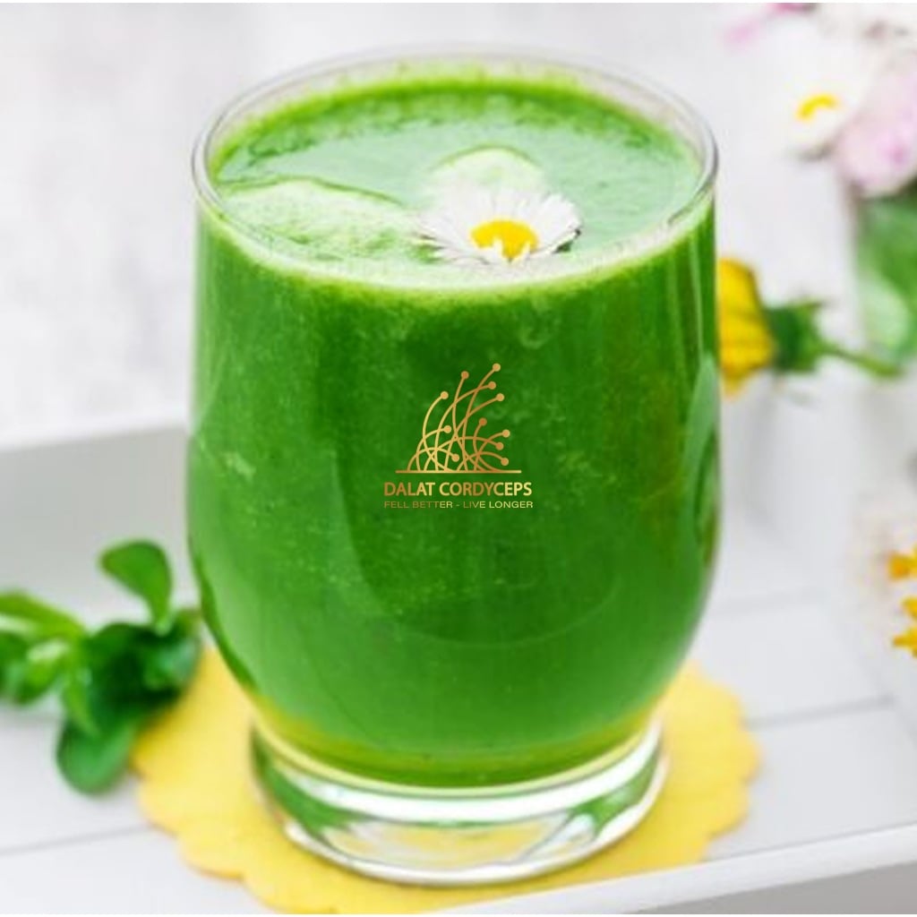 Bột lá bồ công anh sấy lạnh - Dalat Cordyceps