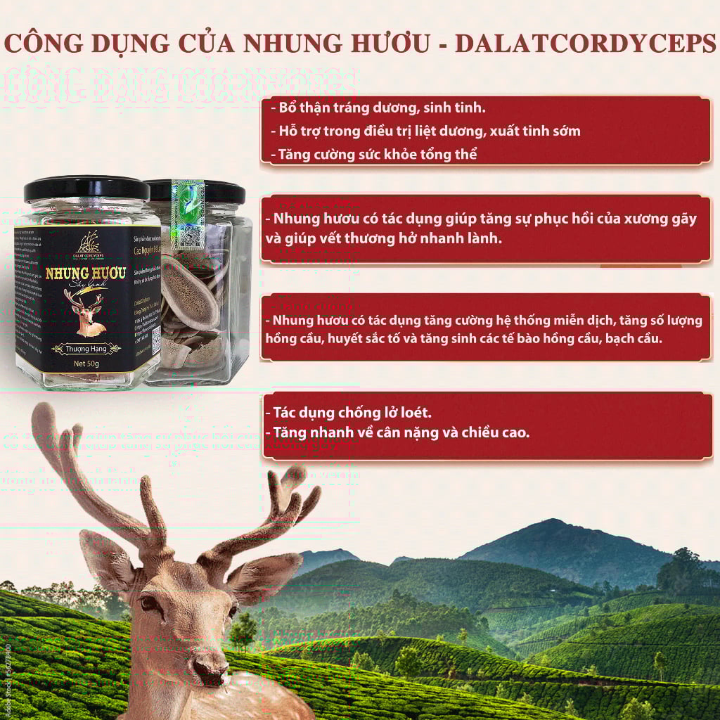 Lộc nhung hươu khô thái lát - Dalat Cordyceps - sấy lạnh