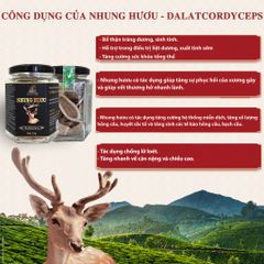Lộc nhung hươu khô thái lát - Dalat Cordyceps - sấy lạnh