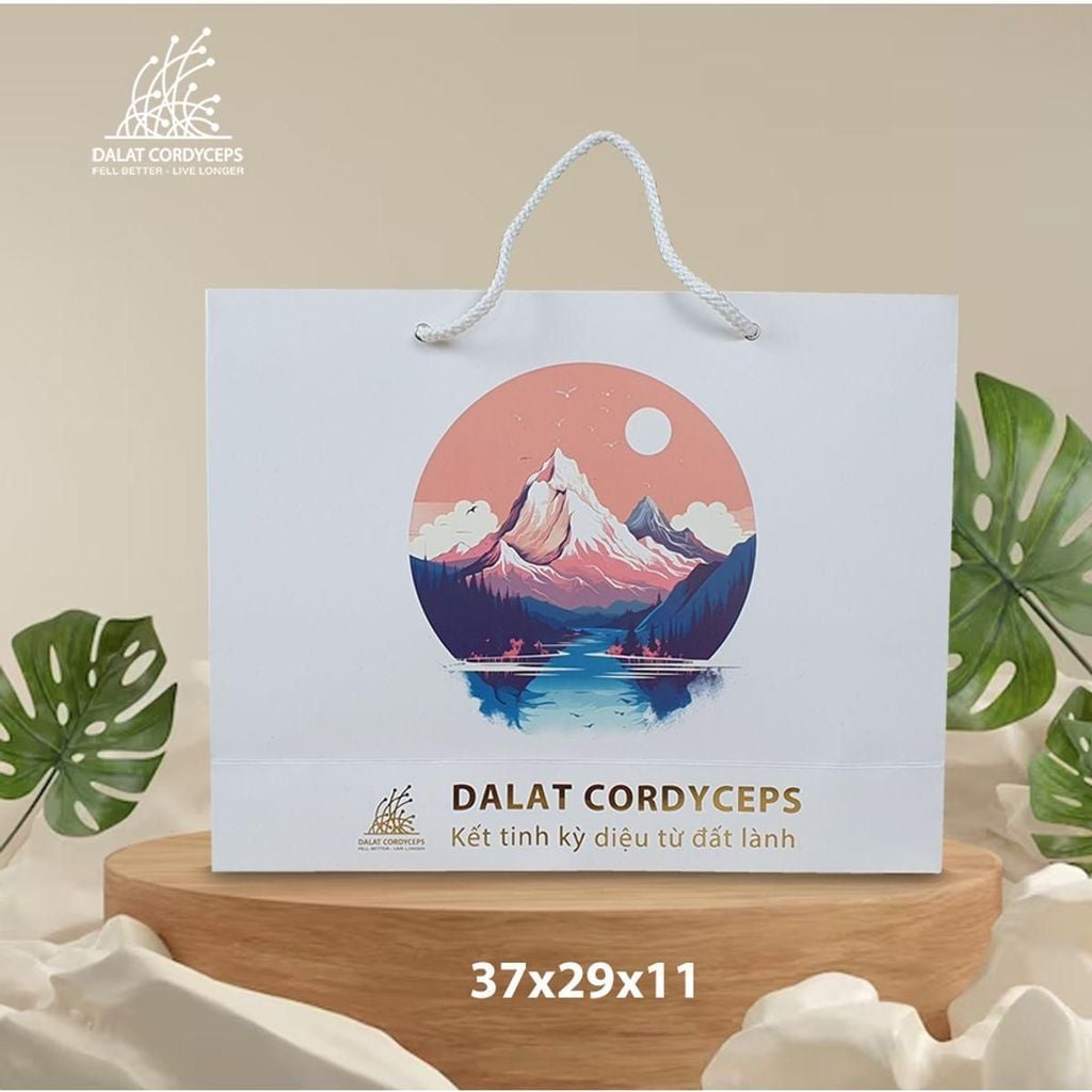 Túi giấy quà tặng cao cấp - Dalat Cordyceps