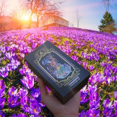 Nhuỵ hoa nghệ tây saffron - Dalat Cordyceps