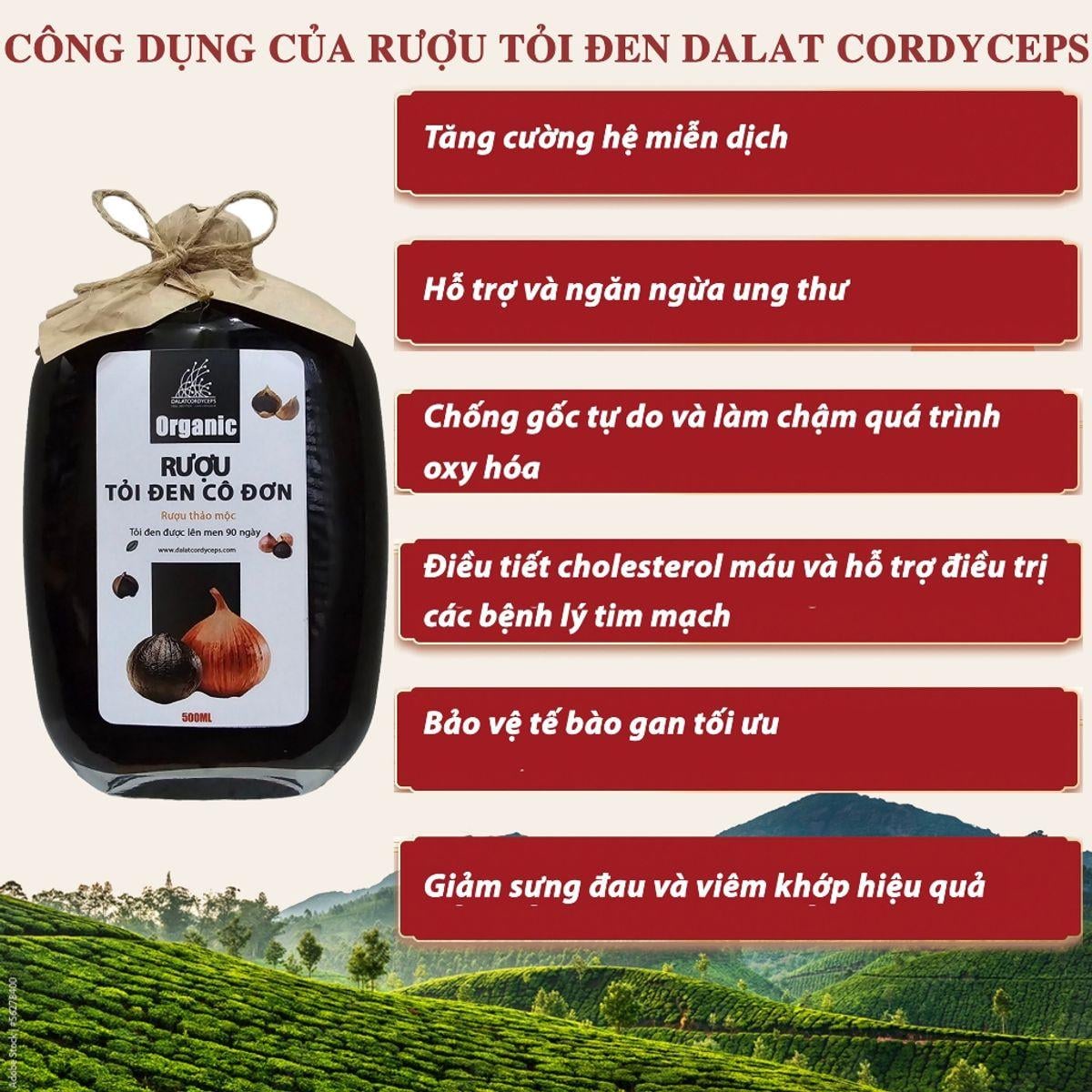 Tỏi đen lý sơn lên men 90 ngày ngâm - Dalat Cordyceps - 500ml