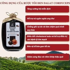 Tỏi đen lý sơn lên men 90 ngày ngâm - Dalat Cordyceps - 500ml