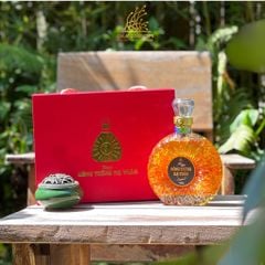 Nấm đông trùng hạ thảo tươi ngâm rượu trong chai thuỷ tinh XO  - Hộp giấy cao cấp