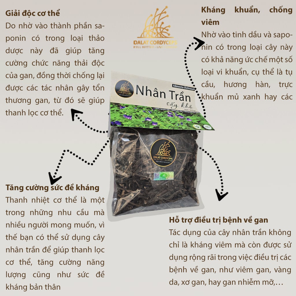 Thảo mộc nhân trần sấy khô Dalat Cordyceps