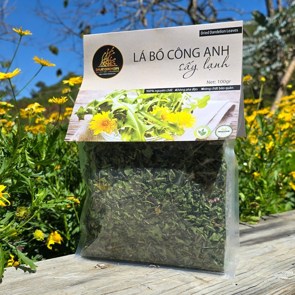 Trà thảo mộc lá bồ công anh sấy lạnh Dalat Cordyceps