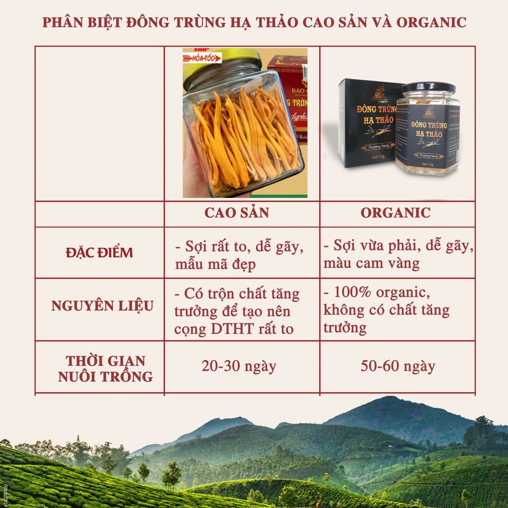 Combo 4 hộp Nấm Đông trùng hạ thảo khô sấy thăng hoa Loại 10gr