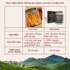 Combo 4 hộp Nấm Đông trùng hạ thảo khô sấy thăng hoa Loại 10gr