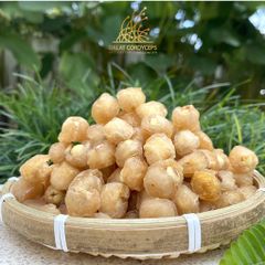 Long nhãn ôm sen - Dalat Cordyceps
