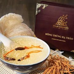 Đông trùnġ hạ thảo ký chủ nhộng ϯầṃ, ống nhựa, Dalat Cordyceps