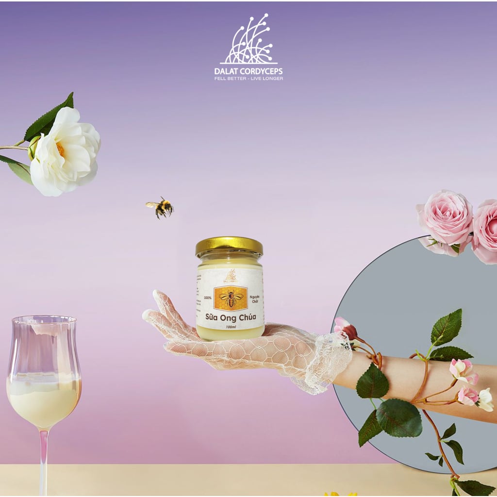 Sữa ong chúa tươi - Dalat Cordyceps
