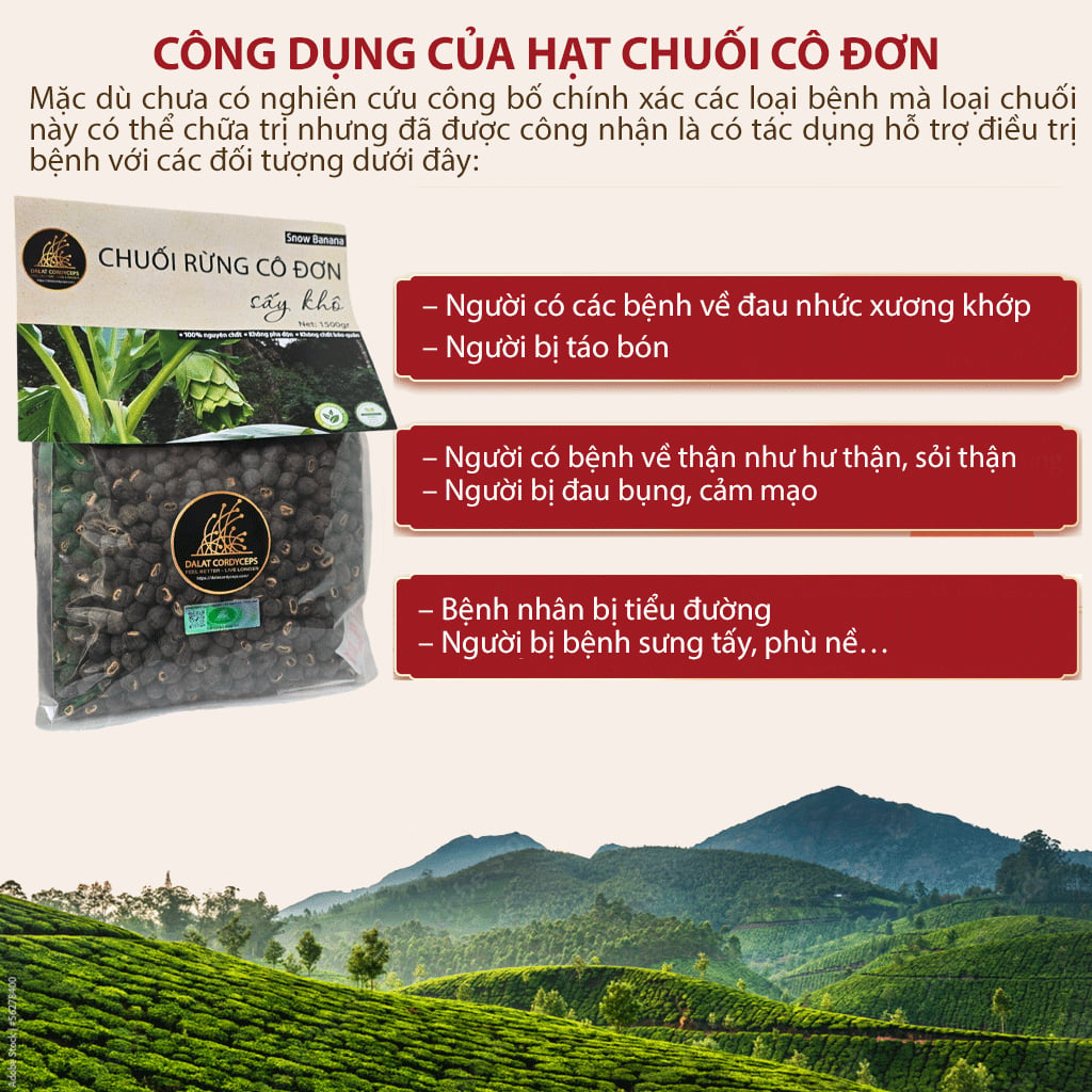 Hạt chuối rừng cô đơn sấy khô Dalat Cordyceps - 1500gr