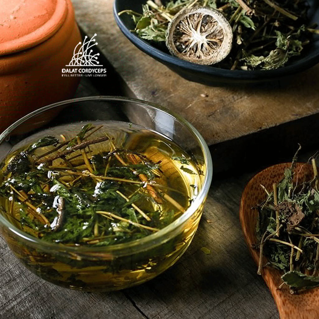 Trà cỏ ngọt sấy khô Dalat Cordyceps