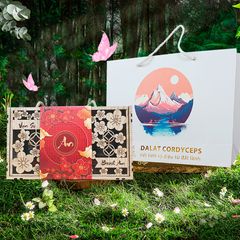 Set quà tết năm 2026 sức khoẻ Vạn An - Dalat Cordyceps - Đông trùng hạ thảo, saffron, linh chi, thảo mộc thiên nhiên