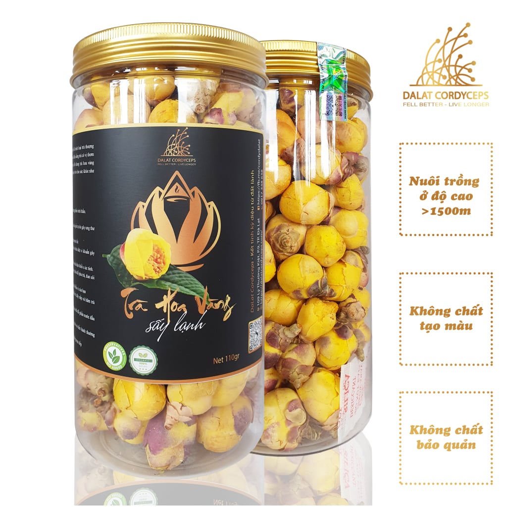 Trà hoa vàng sấy lạnh Dalat Cordyceps