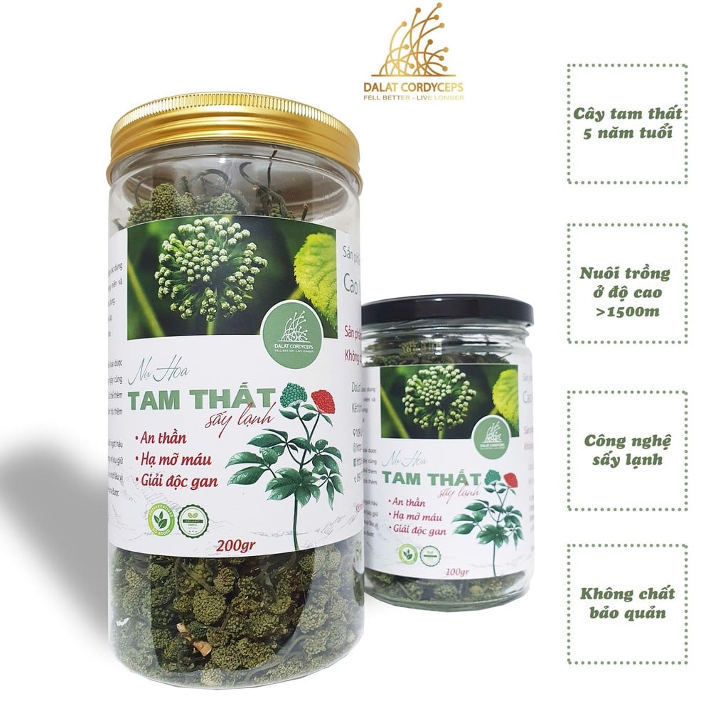 Trà thảo mộc nụ hoa tam thất bao tử loại nụ sấy lạnh, Dalat Cordyceps