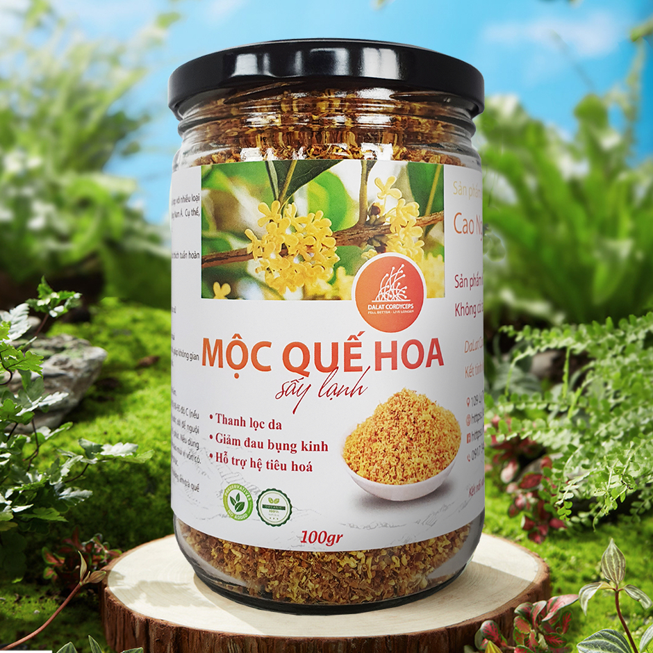 Trà thảo mộc mộc quế hoa khô loại đã được sấy lạnh Dalat Cordyceps