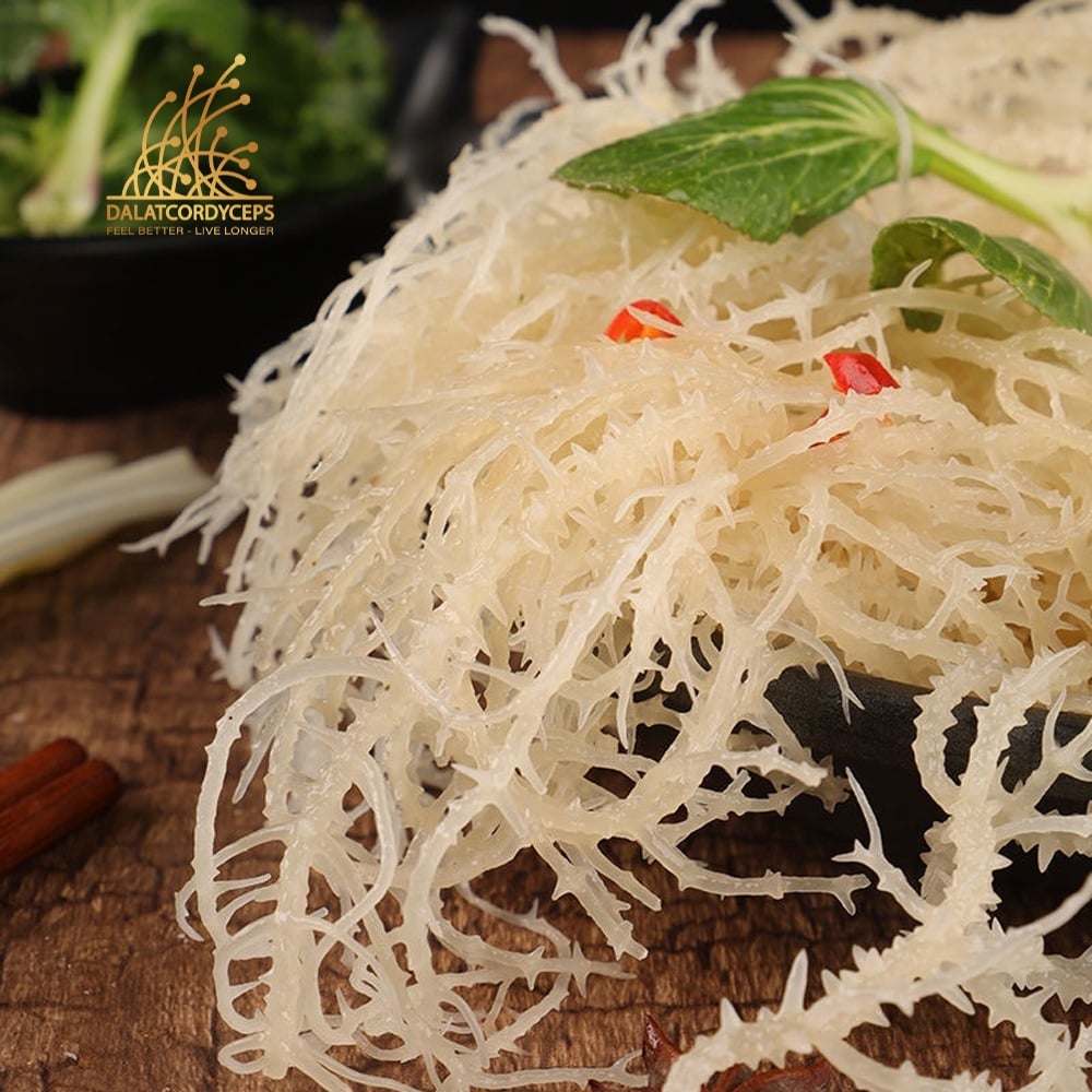 Rong sụn biển sấy khô - Dalat Cordyceps - 200gr