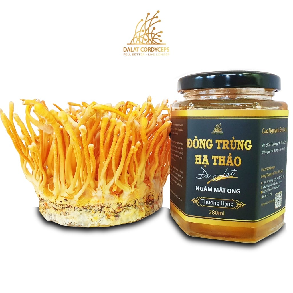 Nấm đông trùng hạ thảo tươi ngâm mật ong,,, Dalat Cordyceps