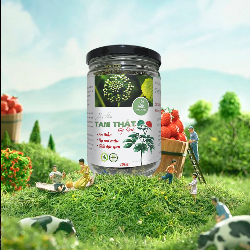 Trà thảo mộc nụ hoa tam thất bao tử loại nụ sấy lạnh, Dalat Cordyceps