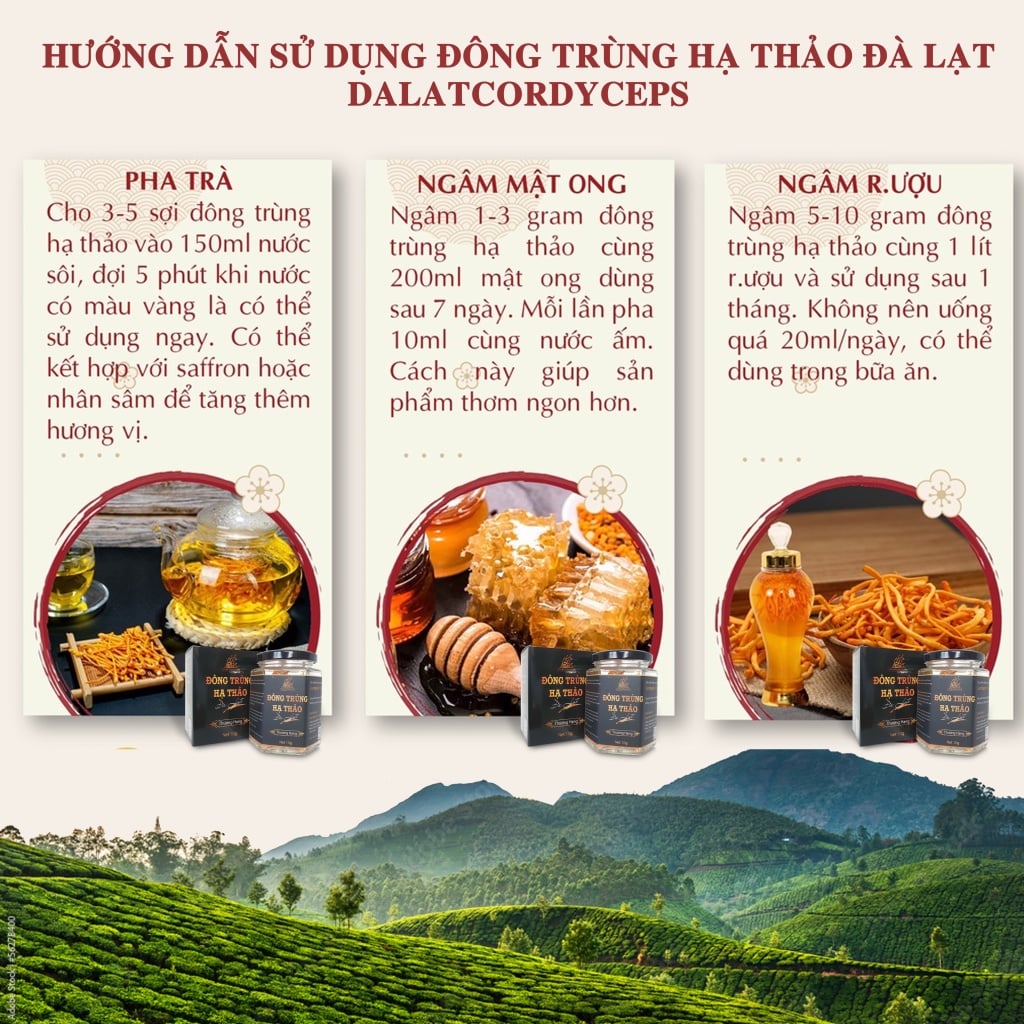 Nấm đông trùng hạ thảo khô đã được sấy thăng hoa giữ nguyên dưỡng chất, Dalat Cordyceps, 10gr, 4 hộp