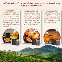 Nấm đông trùng hạ thảo khô đã được sấy thăng hoa giữ nguyên dưỡng chất, Dalat Cordyceps, 10gr, 4 hộp
