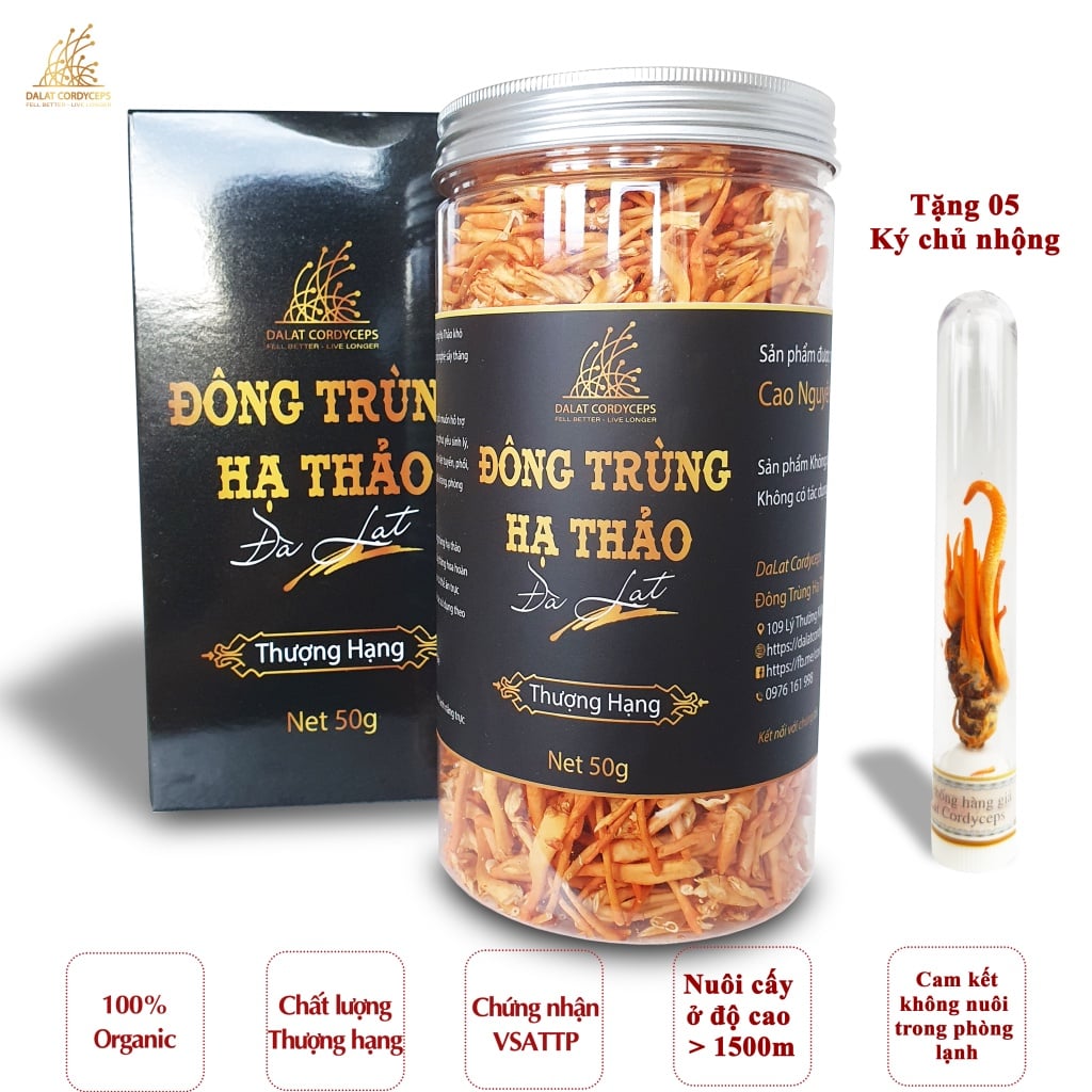 Nấm đông trùng hạ thảo khô sấy thăng hoa (50gr)