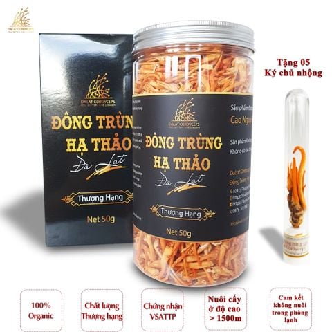  Nấm đông trùng hạ thảo khô sấy thăng hoa (50gr) 