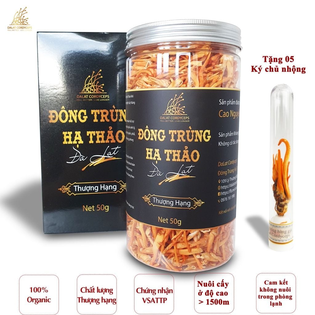  Nấm đông trùng hạ thảo khô sấy thăng hoa (50gr) 