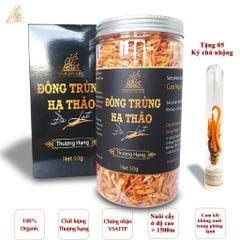 Nấm đông trùng hạ thảo khô sấy thăng hoa (50gr)