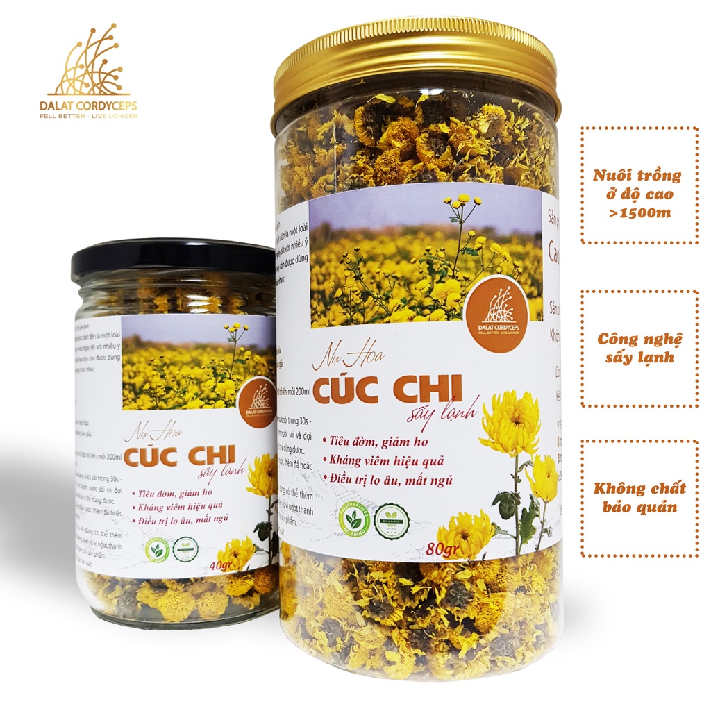 Trà thảo mộc nụ hoa cúc chi sấy lạnh - Dalat Cordyceps