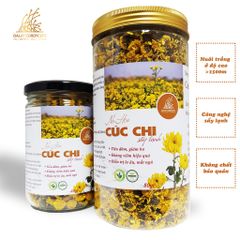 Trà thảo mộc nụ hoa cúc chi sấy lạnh - Dalat Cordyceps