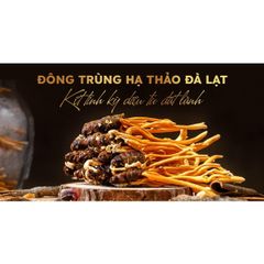 Đông trùnġ hạ thảo ký chủ nhộng ϯầṃ, ống nhựa, Dalat Cordyceps